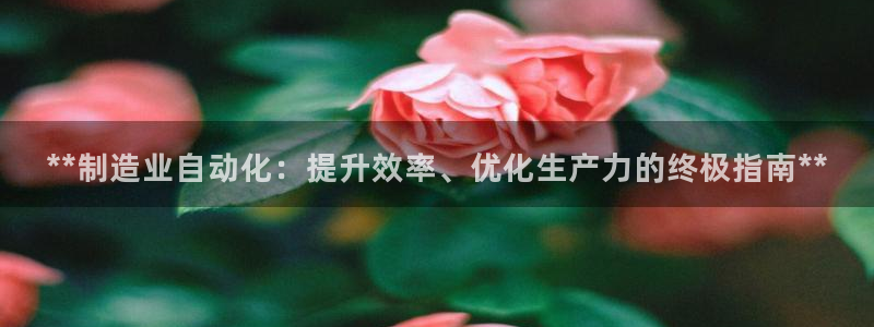 彩神8官网合法吗：**制造业自动化：提升效率、优化生产力的终极指南**