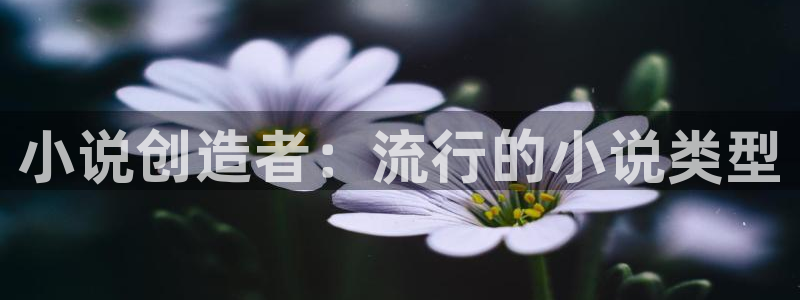 彩神赢钱了吗
