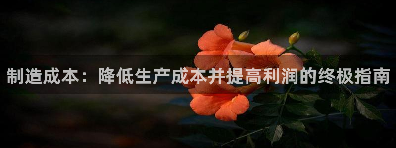 彩神v8平台正规吗知乎：制造成本：降低生产成本并提高利润的终极指南