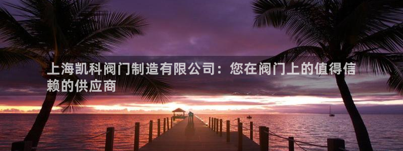 彩神vip购彩大厅：上海凯科阀门制造有限公司：您在阀门上的值得信
赖的供应商