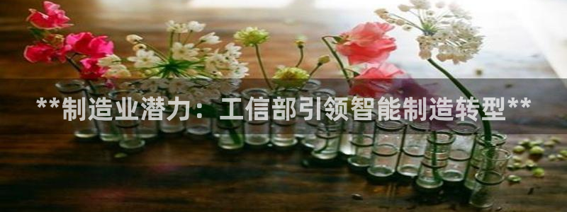 下载彩神乐发V：**制造业潜力：工信部引领智能制造转型**
