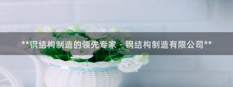 彩神官方登录：**钢结构制造的领先专家 - 钢结构制造有限公司**