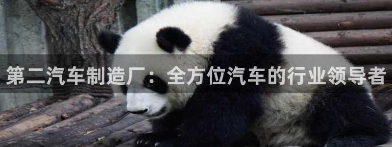 大发彩神争：第二汽车制造厂：全方位汽车的行业领导者