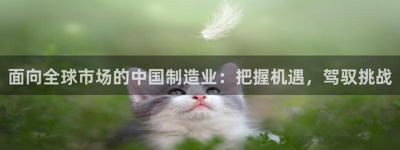 彩神ix官网：面向全球市场的中国制造业：把握机遇，驾驭挑战
