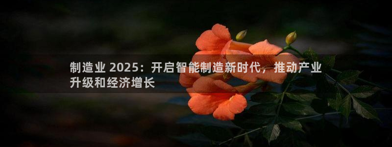 彩神v下载安装：制造业 2025：开启智能制造新时代，推动产