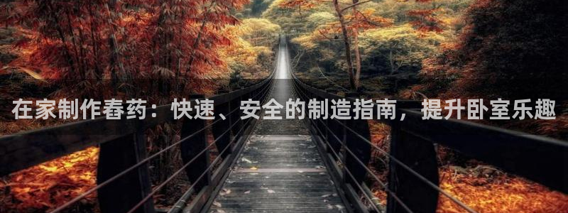在彩神网输了六万多怎么拿回来：在家制作舂药：快速、安全的制造指南，提升卧室乐趣