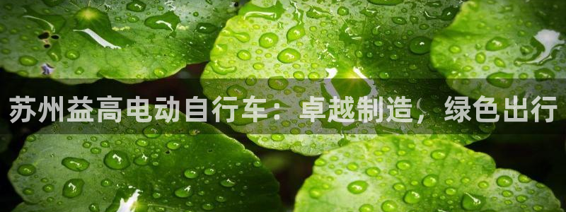 彩神8官网下：苏州益高电动自行车：卓越制造，绿色出行