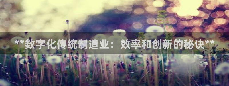 彩神v8下载：**数字化传统制造业：效率和创新的秘诀**
