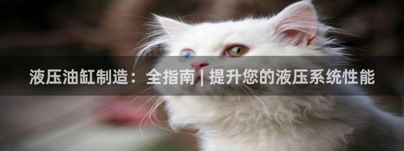 彩神合法吗.是国家认可的吗：液压油缸制造：全指南 | 提升您