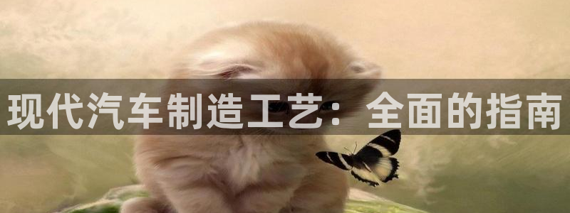 彩神8是正规平台吗：现代汽车制造工艺：全面的指南