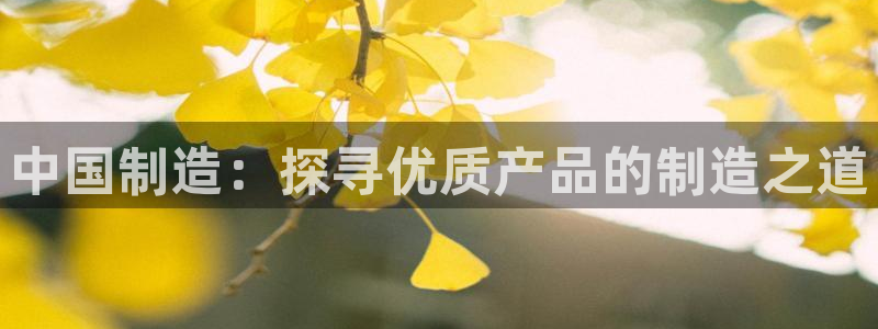 彩神iv真的能赚钱吗：中国制造：探寻优质产品的制造之道