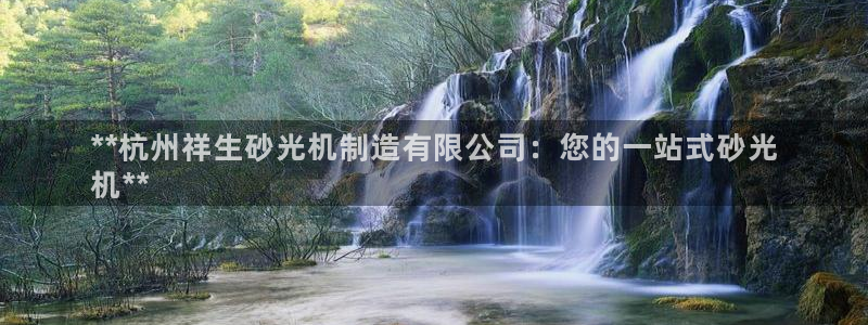 彩神8是正规平台吗安全吗：**杭州祥生砂光机制造有限公司：您的一站式砂光
机**