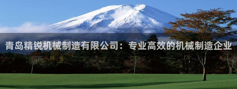 彩神是正规平台吗