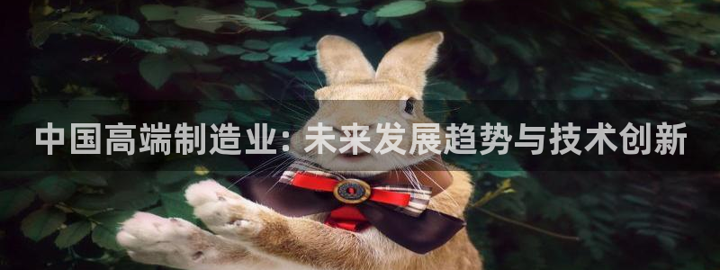彩神v8平台正规吗：中国高端制造业: 未来发展趋势与技术创新