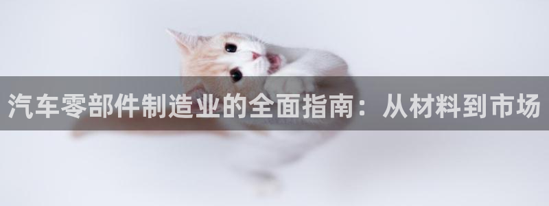 彩神v8是一个什么平台啊