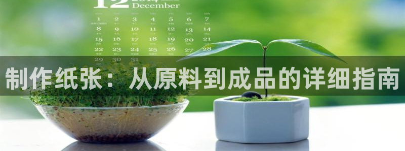 彩神8官网下：制作纸张：从原料到成品的详细指南