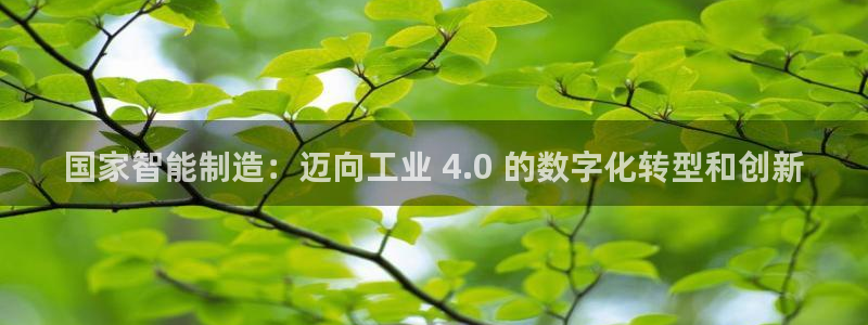 彩神官方网站登录是多少：国家智能制造：迈向工业 4.0 的数字化转型和创新