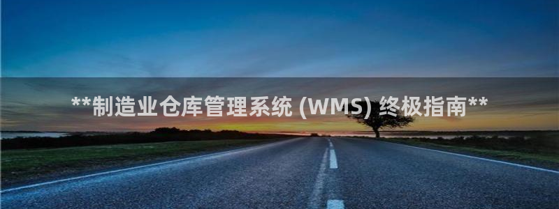 彩神v8是一个什么平台游戏：**制造业仓库管理系统 (WMS) 终极指南**