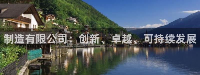 彩神Vii购彩-购彩大厅：制造有限公司：创新、卓越、可持续发展