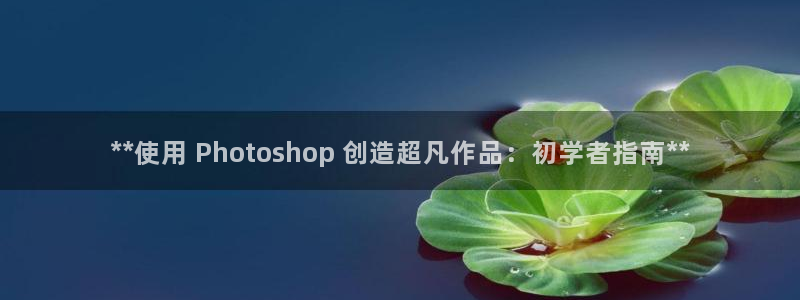 彩神购彩-购彩大厅入口36fr：**使用 Photoshop 创造超凡作品：初学者指南**