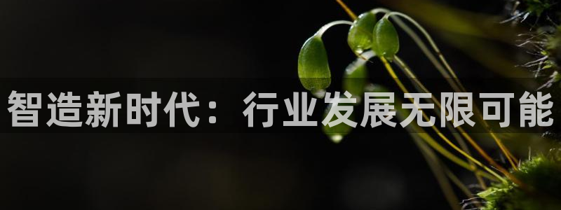 彩神v争霸有限公司：智造新时代：行业发展无限可能