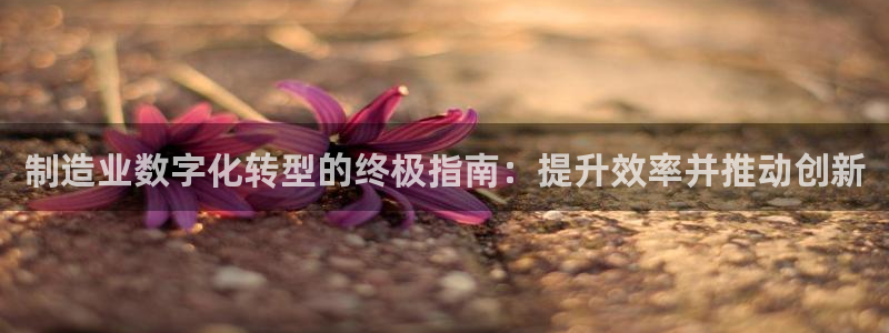 彩神v8是一个什么平台游戏：制造业数字化转型的终极指南：提升效率并推动创新