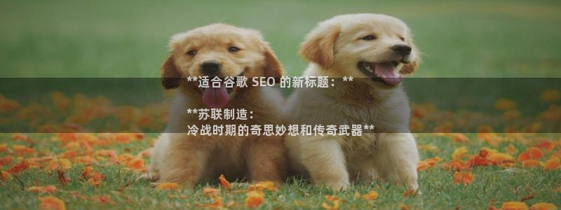彩神v8app：**适合谷歌 SEO 的新标题：**

**苏联制造：
冷战时期的奇思妙想和传奇武器**