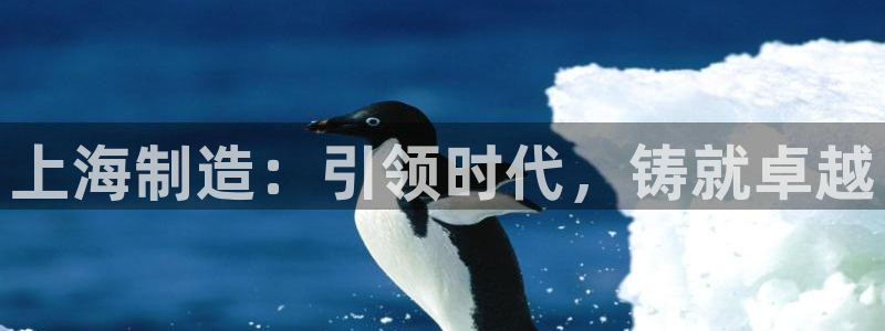彩神iv能赚钱吗：上海制造：引领时代，铸就卓越