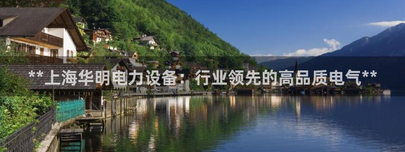 新版彩神v8登录教程：**上海华明电力设备：行业领先的高品质电气**