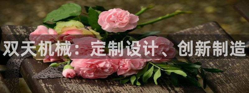 彩神大发cp：双天机械：定制设计、创新制造