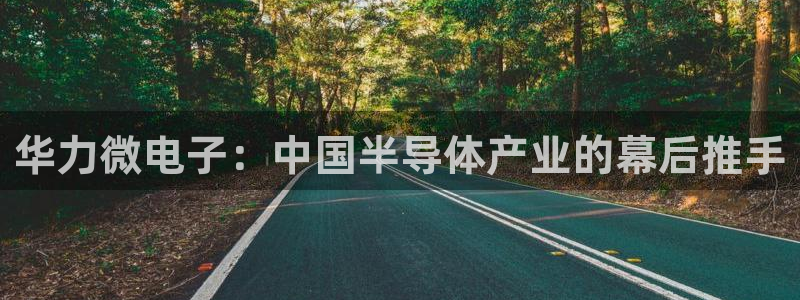 彩神vii手游下载