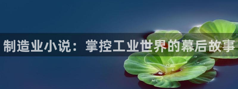 彩神购彩-购彩大厅入口下载：制造业小说：掌控工业世界的幕后故事