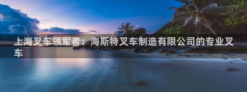 彩神大发如何观察走势：上海叉车领军者：海斯特叉车制造有限公司的专业叉
车