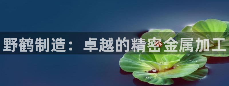 彩神v彩搜狗：野鹤制造：卓越的精密金属加工