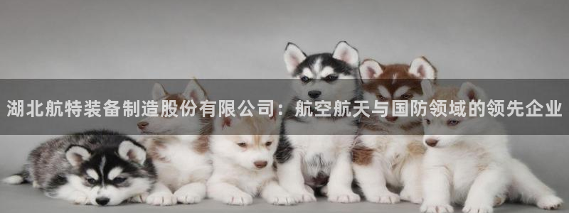 彩神是什么平台：湖北航特装备制造股份有限公司：航空航天与国防领域的领先企业