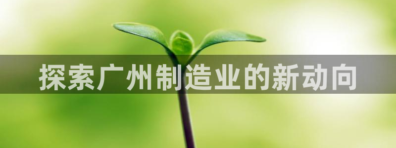 彩神数码科技有限公司：探索广州制造业的新动向
