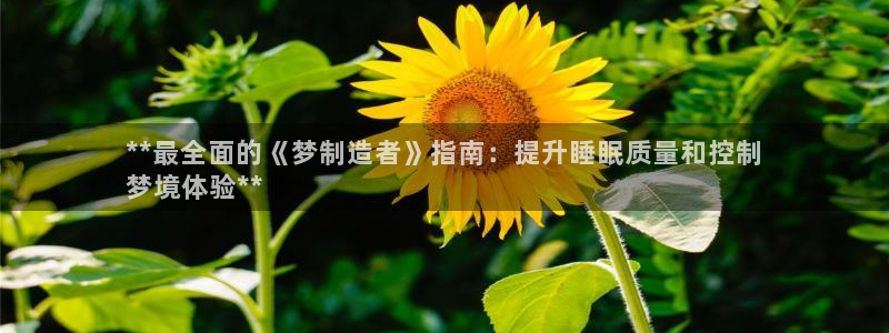彩神网合法吗：**最全面的《梦制造者》指南：提升睡眠质量和控