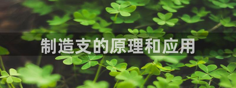 彩神8彩平台客服：制造支的原理和应用