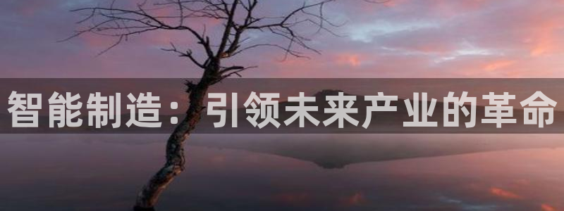彩神8彩平台客服：智能制造：引领未来产业的革命