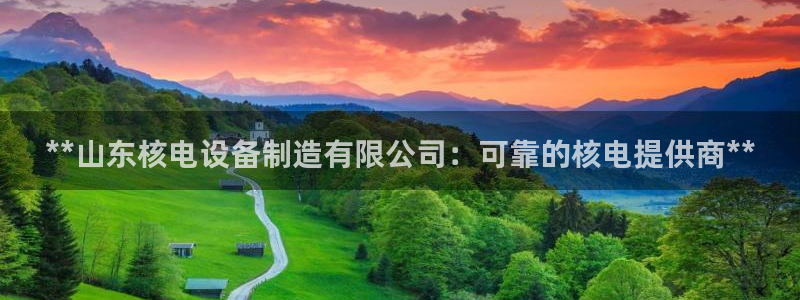 有谁知道彩神争霸的网址：**山东核电设备制造有限公司：可靠的核电提供商**