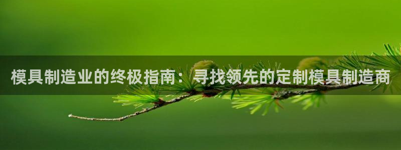 彩神ix能赚钱吗：模具制造业的终极指南：寻找领先的定制模具制造商