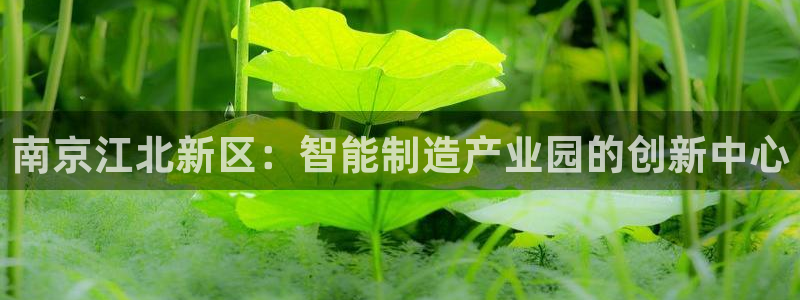 新版彩神v8登录不了：南京江北新区：智能制造产业园的创新中心