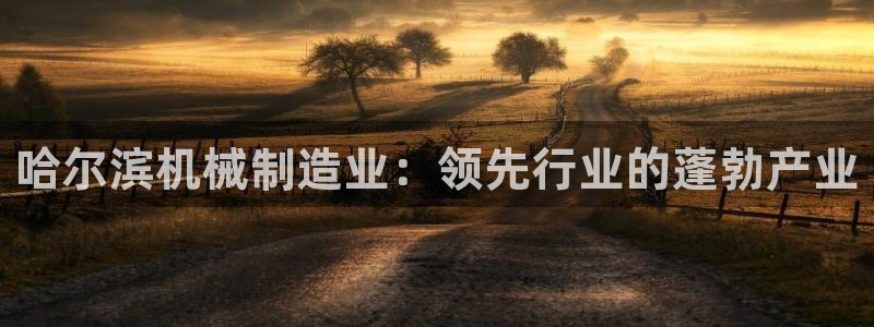 彩神8彩平台官网：哈尔滨机械制造业：领先行业的蓬勃产业
