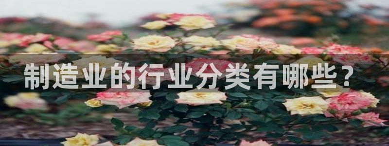 彩神到底能不能赚钱：制造业的行业分类有哪些？