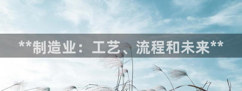 所有彩神购买首页：**制造业：工艺、流程和未来**