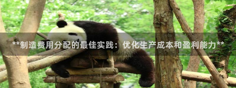 彩神赢钱了吗知乎：**制造费用分配的最佳实践：优化生产成本和