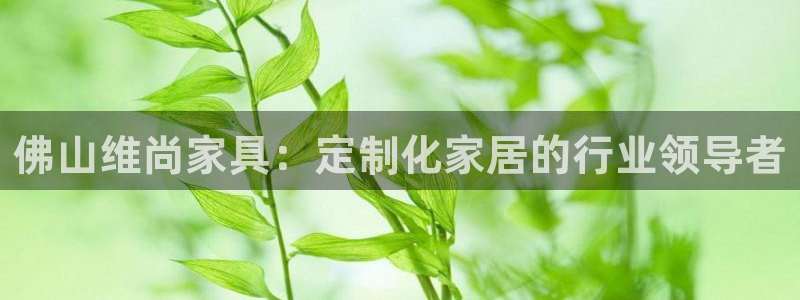 彩神vl购彩大厅：佛山维尚家具：定制化家居的行业领导者