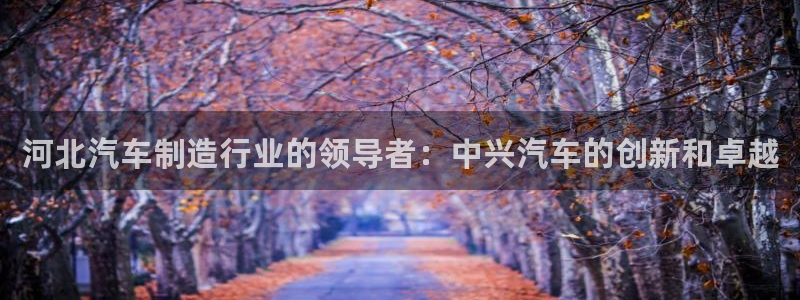 彩神V集团公司：河北汽车制造行业的领导者：中兴汽车的创新和卓越