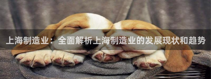 彩神8官网版：上海制造业：全面解析上海制造业的发展现状和趋势