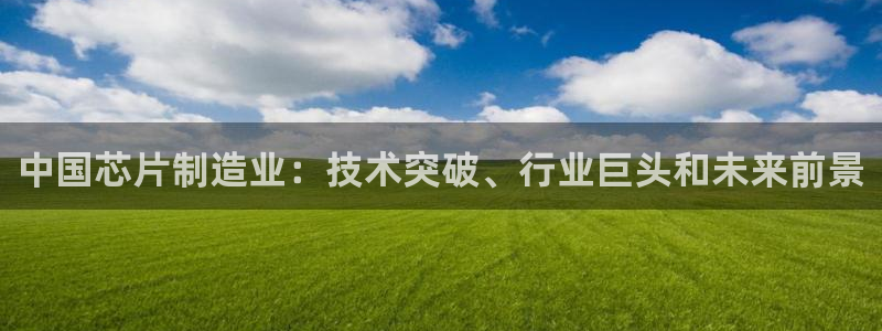 彩神v8下载app5.0：中国芯片制造业：技术突破、行业巨头